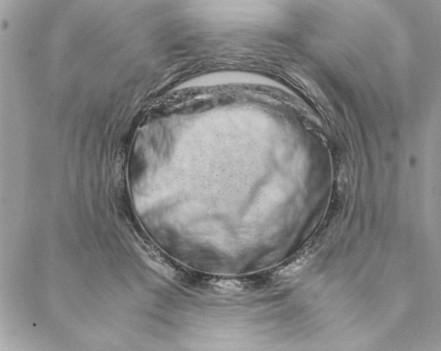 X0000088720409200706141618