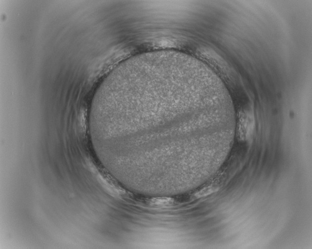 X0000088720410200706141618