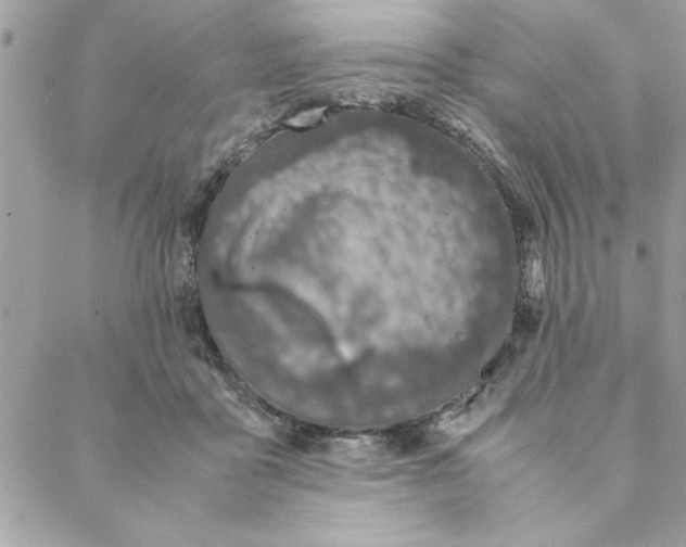 X0000088720411200706141618