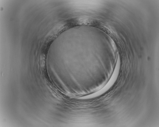 X0000088720413200706141618