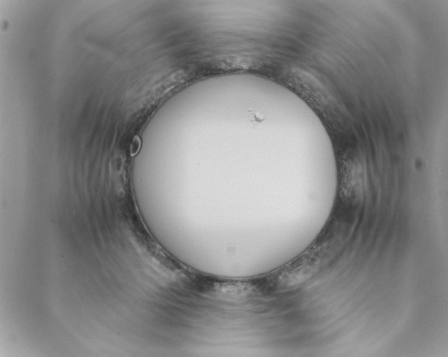 X0000088720414200706141618