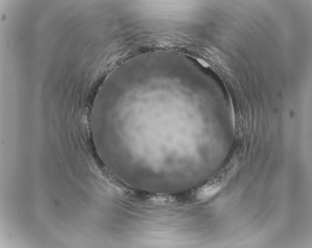 X0000088720415200706141618