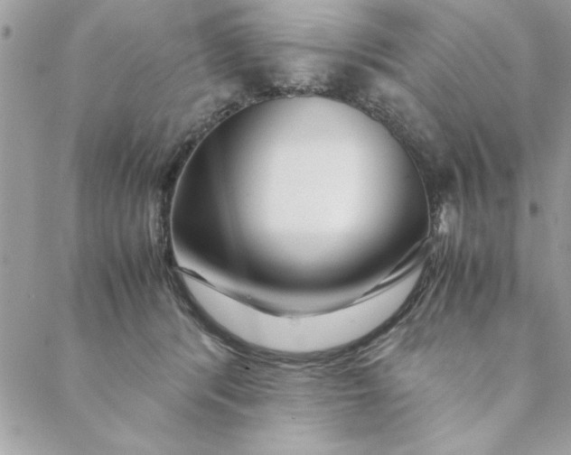 X0000088720416200706141618