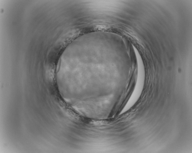 X0000088720417200706141618