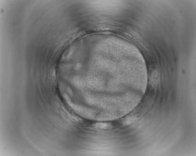 X0000088720418200706141618