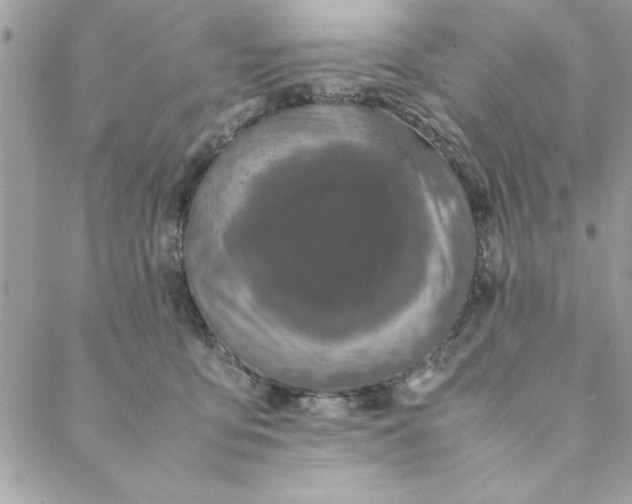 X0000088720419200706141618