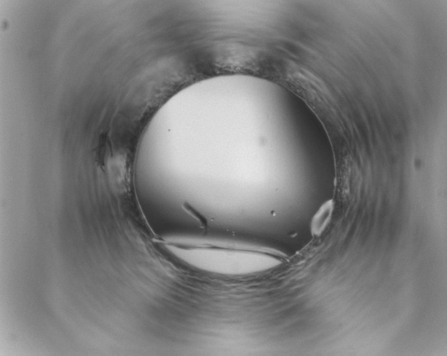 X0000088720420200706141618