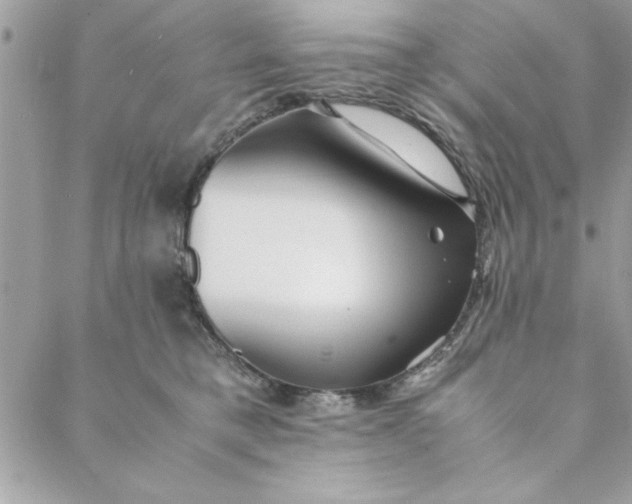 X0000088720421200706141618