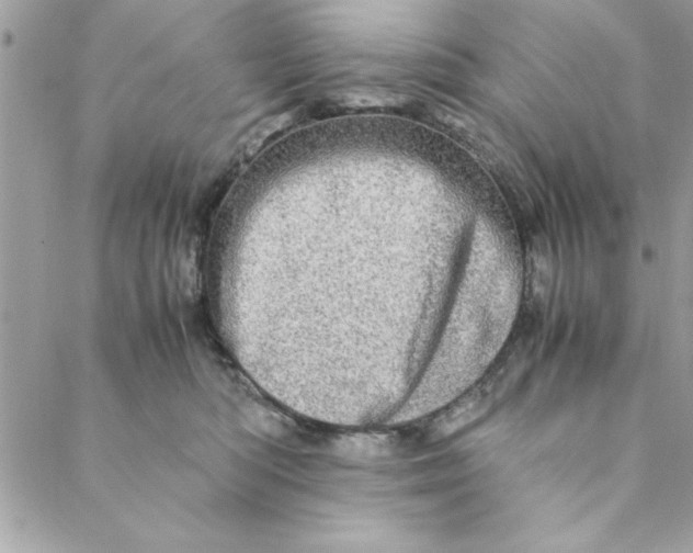 X0000088720422200706141618