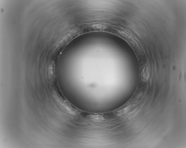 X0000088720424200706141618