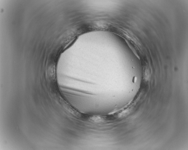 X0000088720425200706141618