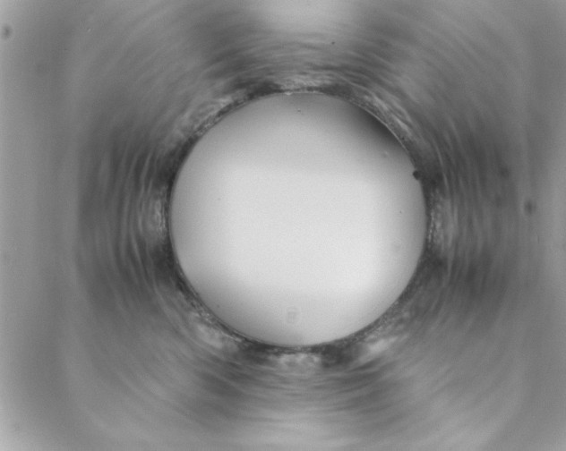 X0000088720426200706141618