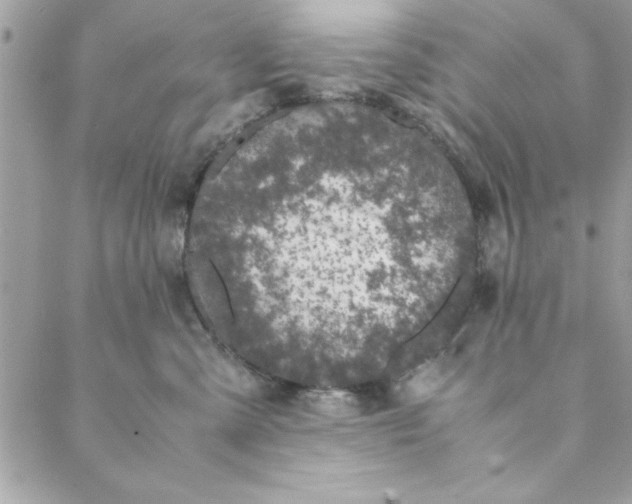 X0000088720427200706141618