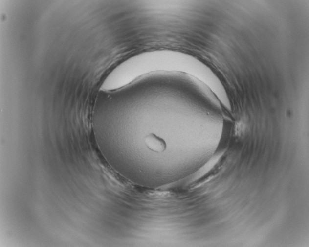 X0000088720428200706141618