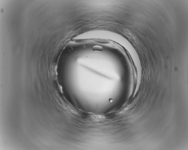 X0000088720429200706141618