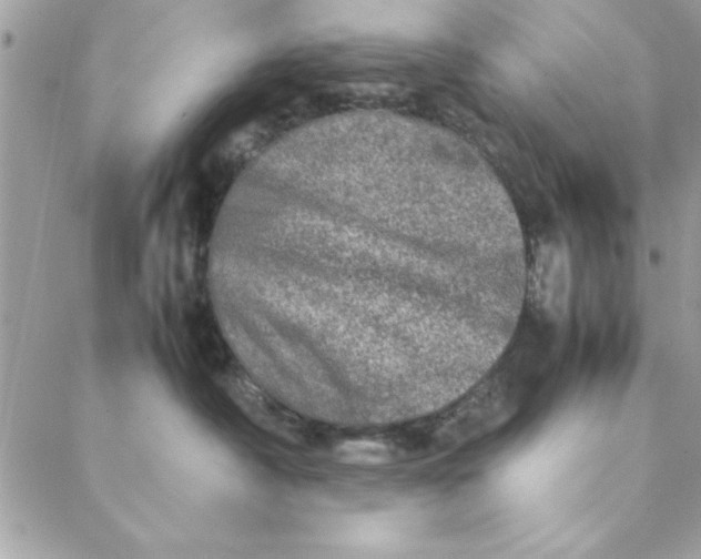 X0000088720430200706141618