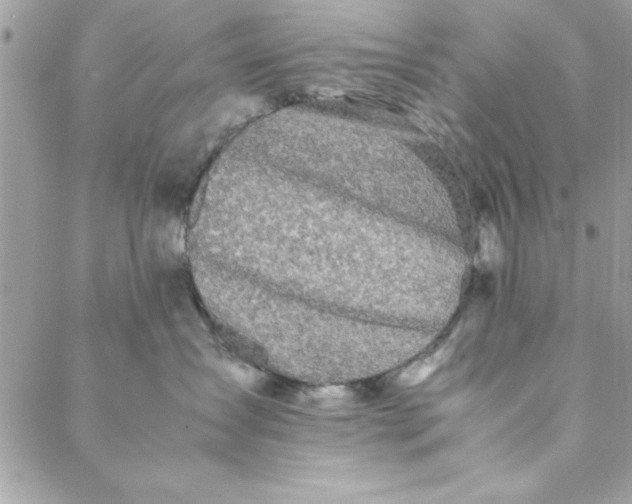 X0000088720431200706141618