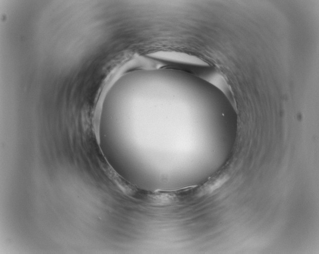 X0000088720432200706141618