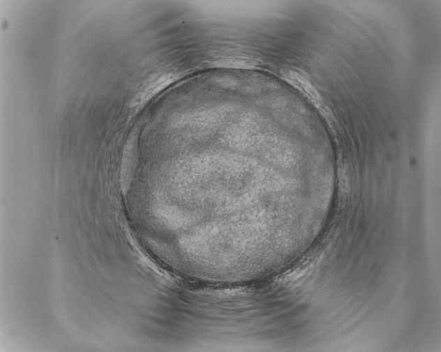 X0000088720433200706141617