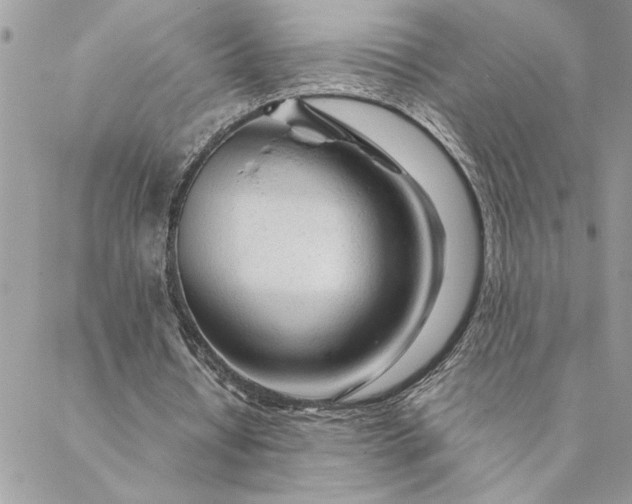 X0000088720434200706141617