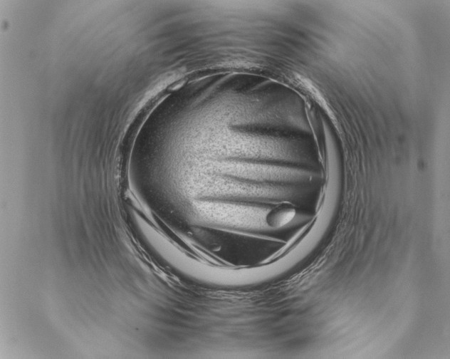 X0000088720435200706141617