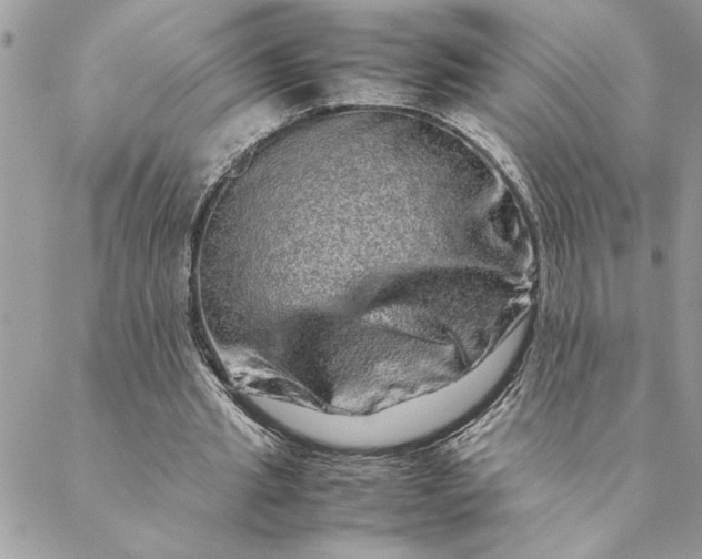 X0000088720437200706141617