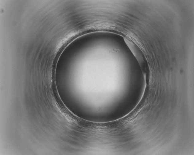 X0000088720438200706141617