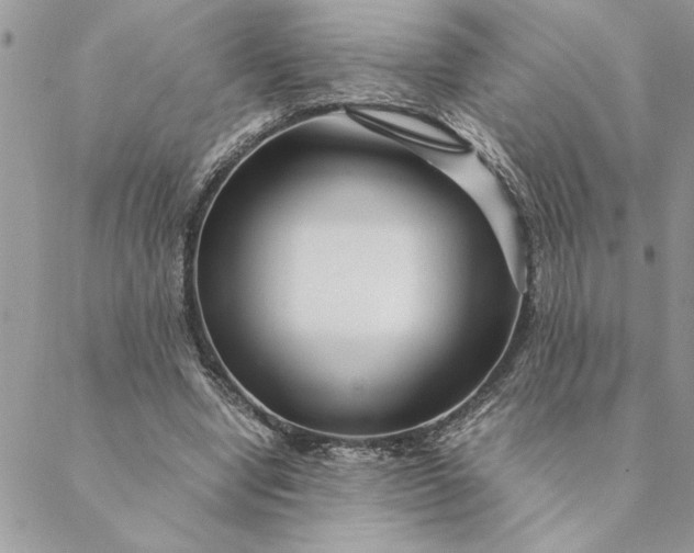 X0000088720442200706141617