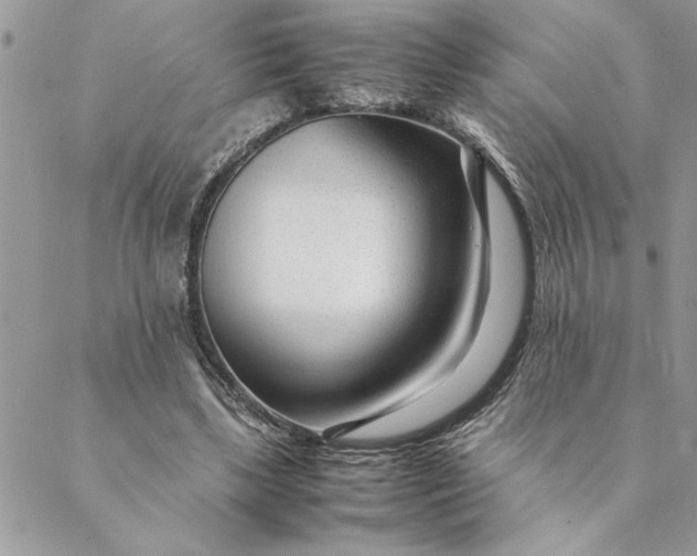 X0000088720443200706141617