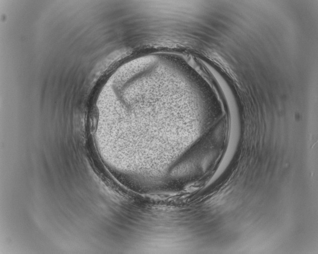 X0000088720444200706141617