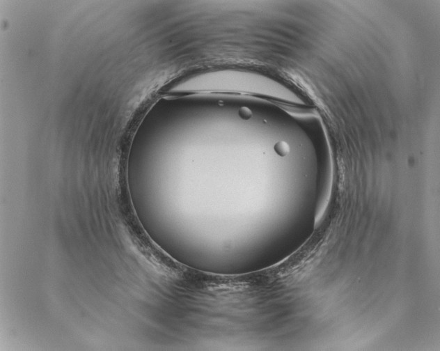 X0000088720447200706141617