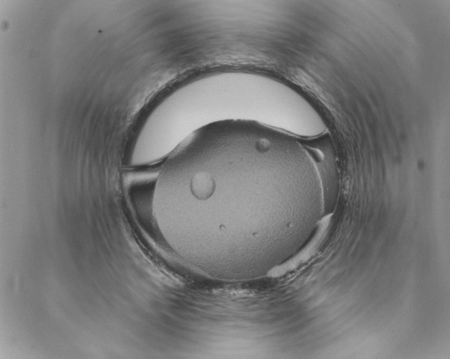 X0000088720448200706141617