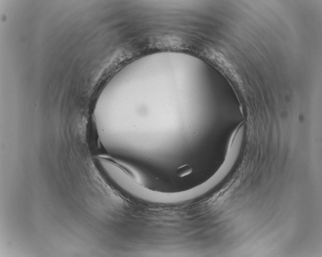 X0000088720449200706141617