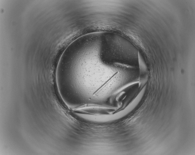 X0000088720450200706141617