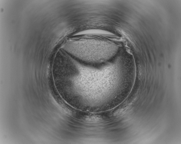 X0000088720451200706141617