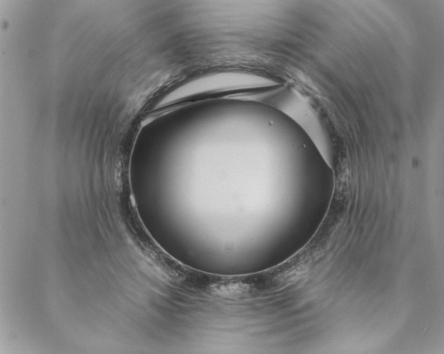 X0000088720452200706141617