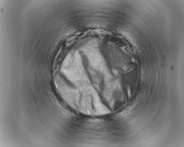 X0000088720453200706141617