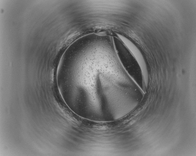 X0000088720454200706141617