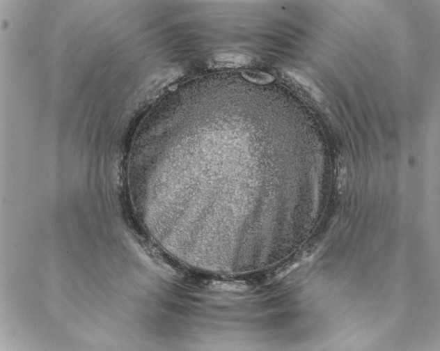 X0000088720455200706141617