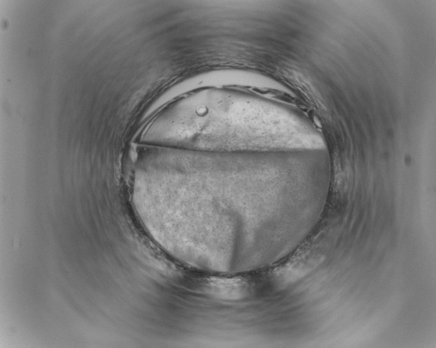 X0000088720457200706141617