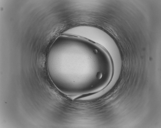 X0000088720458200706141617