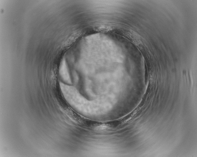 X0000088720460200706141617