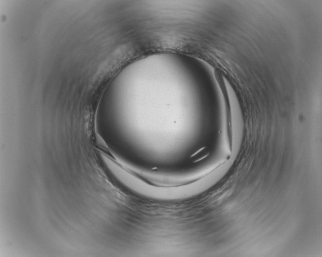 X0000088720462200706141617