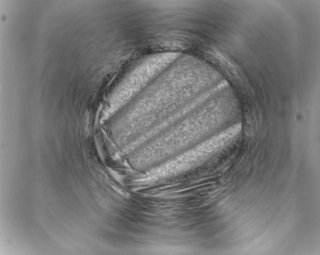 X0000088720465200706141617