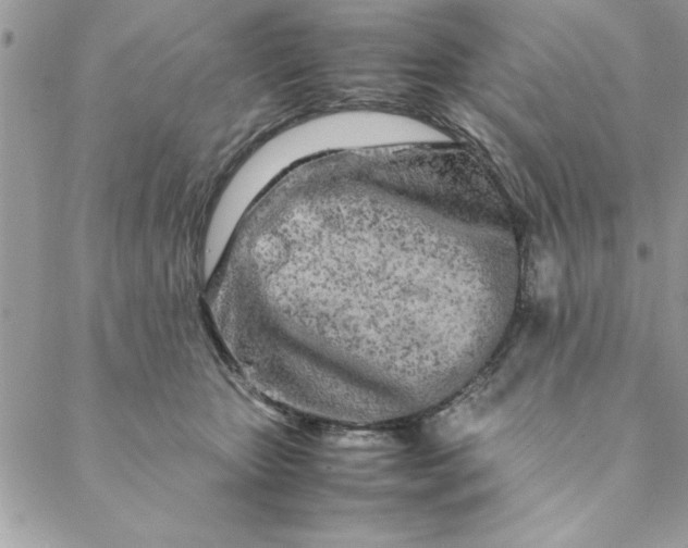 X0000088720467200706141617