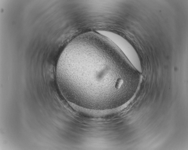 X0000088720470200706141617