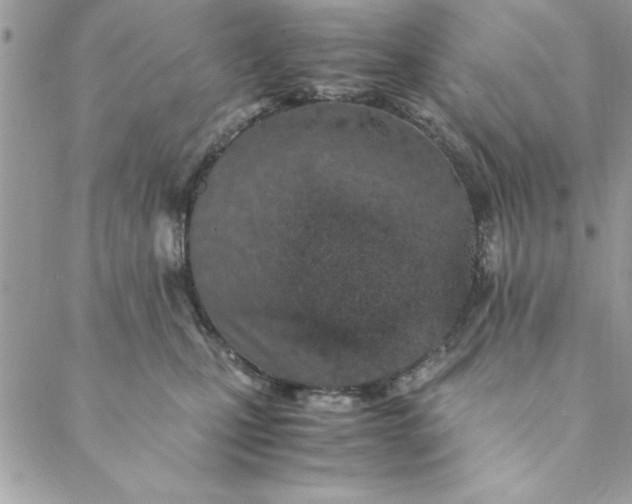 X0000088720471200706141617