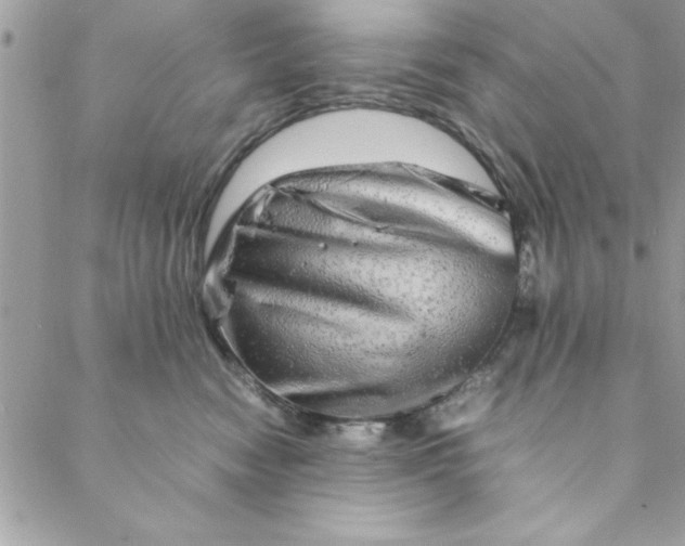 X0000088720474200706141617