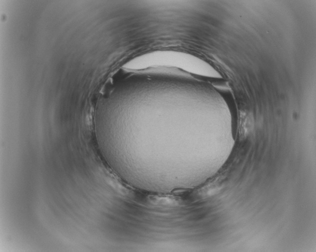 X0000088720475200706141618