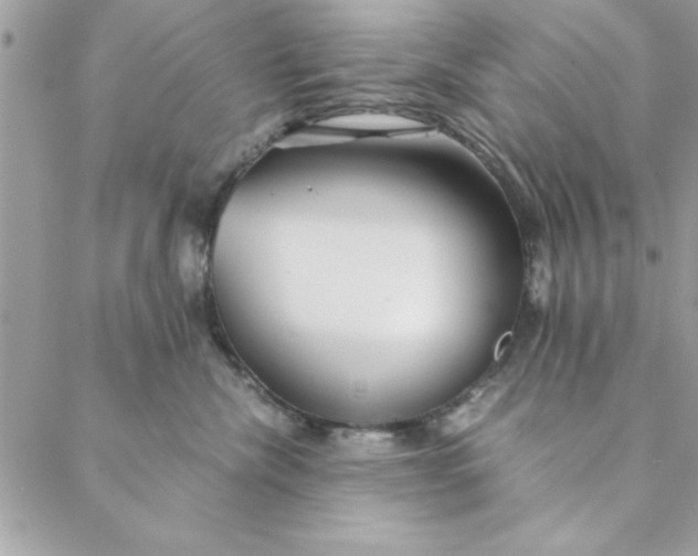 X0000088720476200706141618